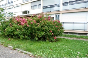 appartement à la vente -   76130  MONT-SAINT-AIGNAN, surface 48 m2 vente appartement - APR733448
